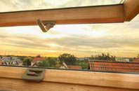 rated Foxearth roof window companies